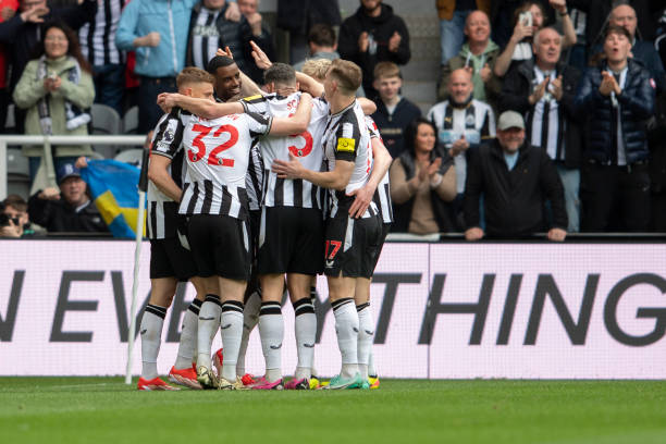 一个新的 一个新的