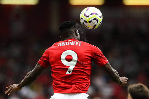 善于利用自 善于利用自